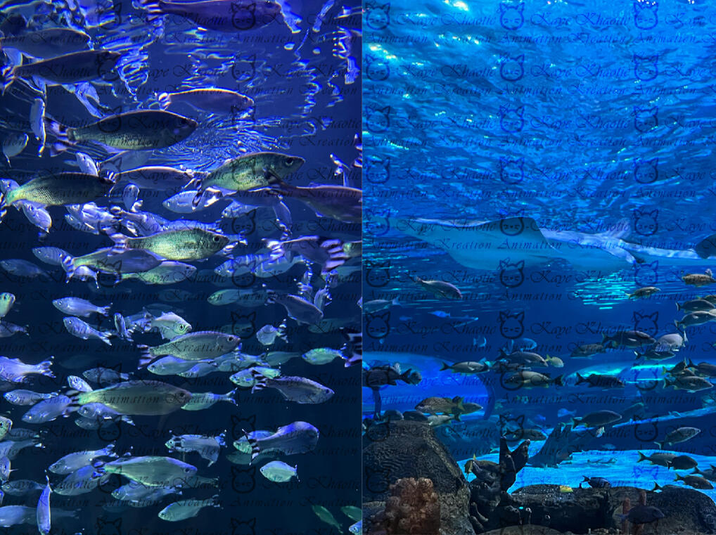 Underwater Underwater