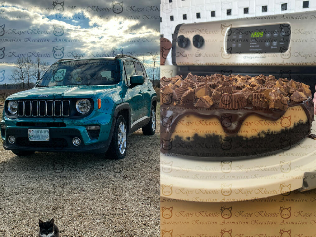 fast food fast food